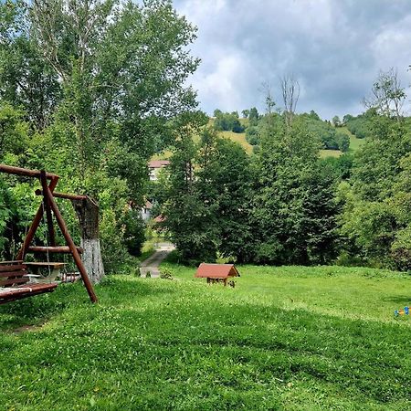 Casa Dorina Villa Bran  Buitenkant foto