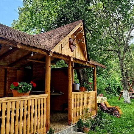 Casa Dorina Villa Bran  Buitenkant foto