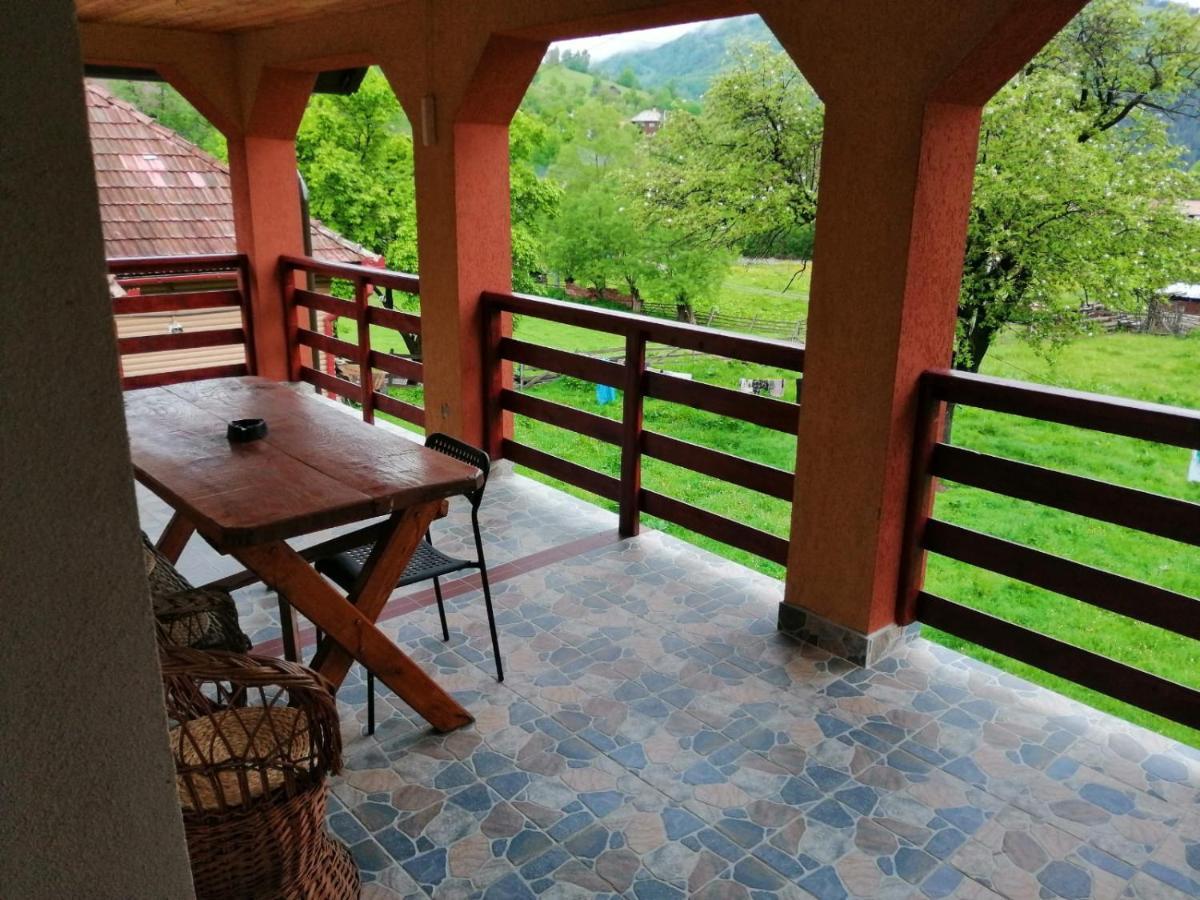 Casa Dorina Villa Bran  Buitenkant foto