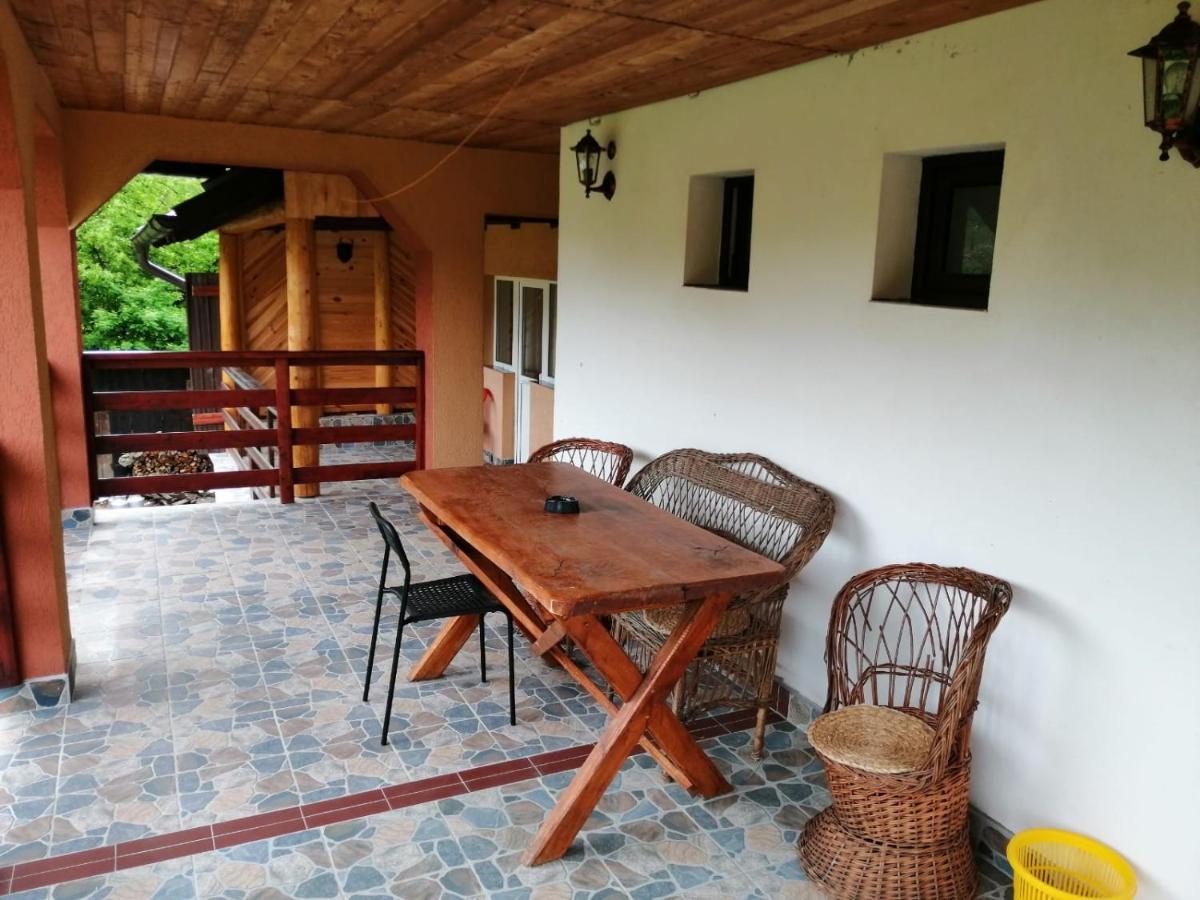 Casa Dorina Villa Bran  Buitenkant foto