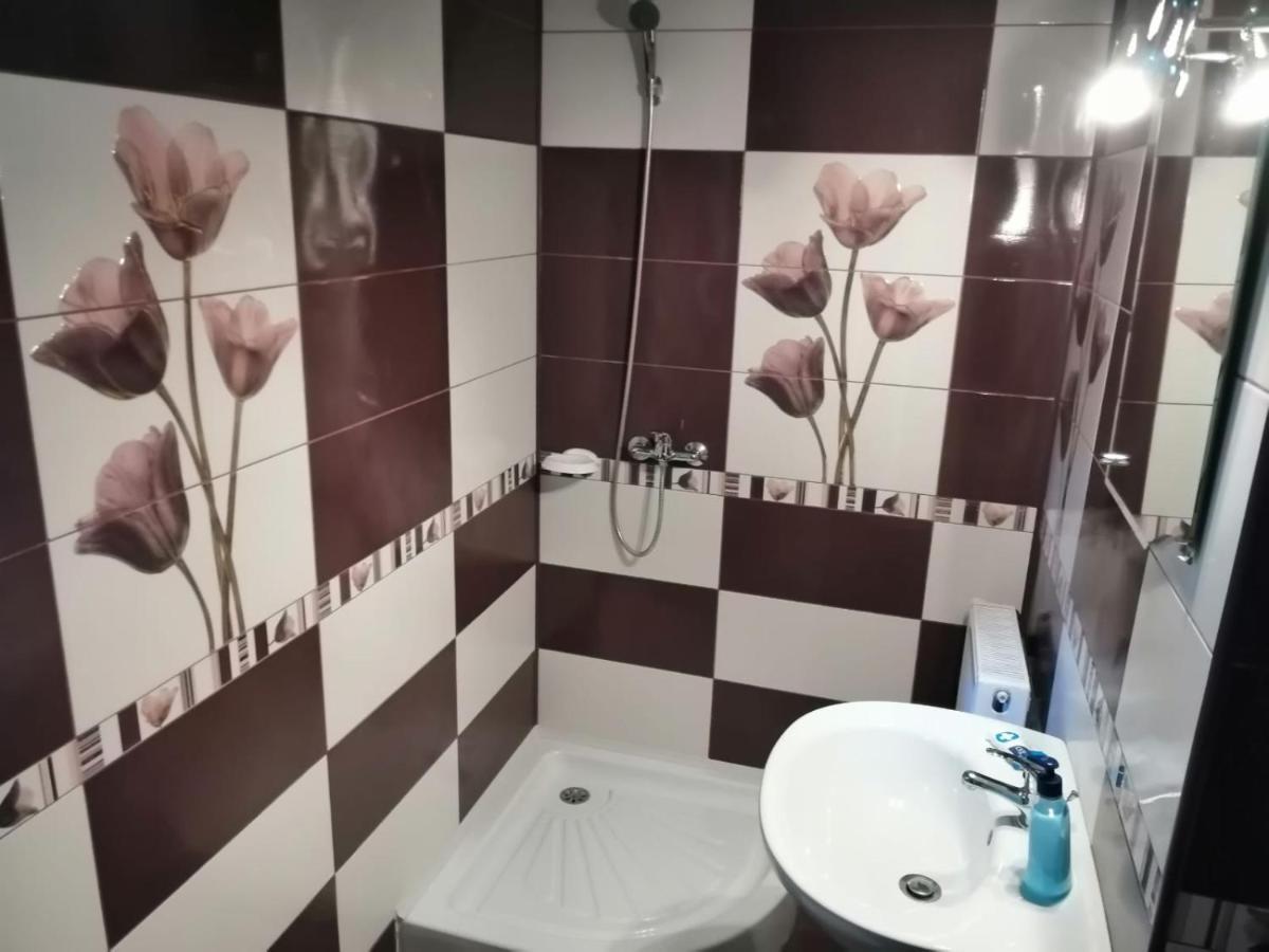 Casa Dorina Villa Bran  Buitenkant foto
