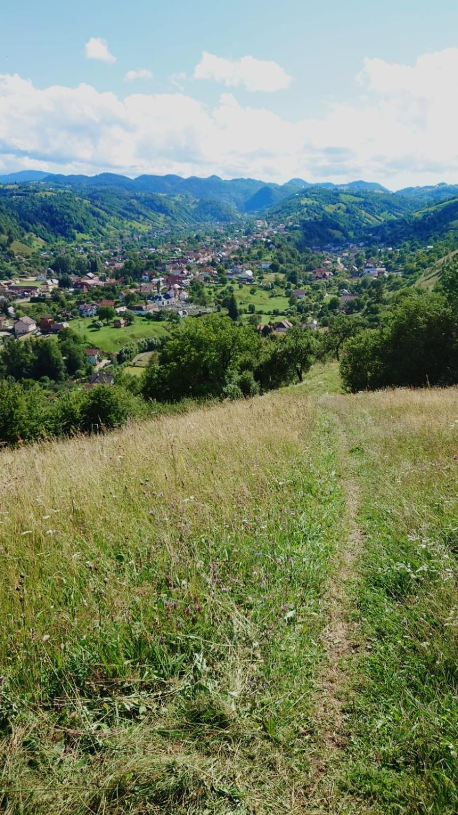 Casa Dorina Villa Bran  Buitenkant foto