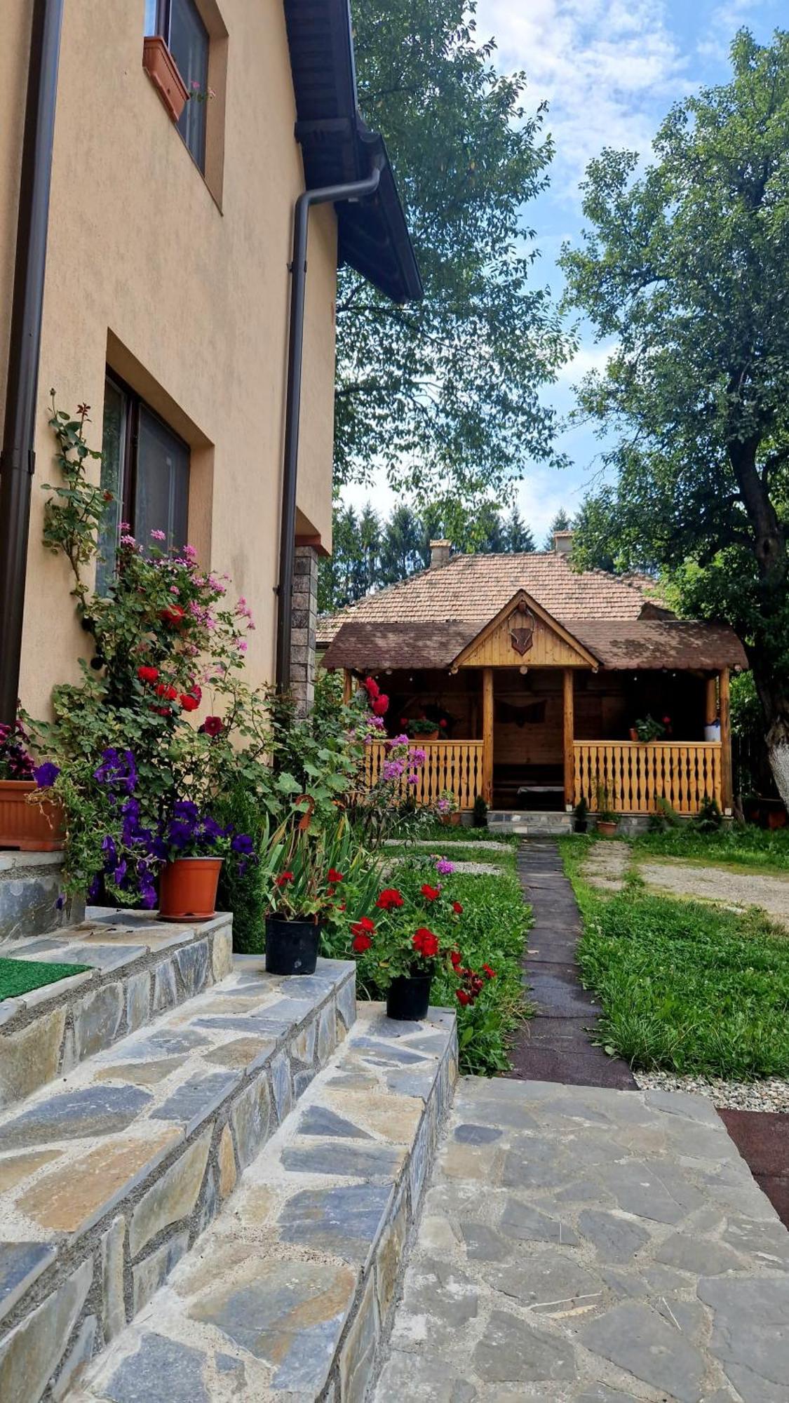 Casa Dorina Villa Bran  Buitenkant foto