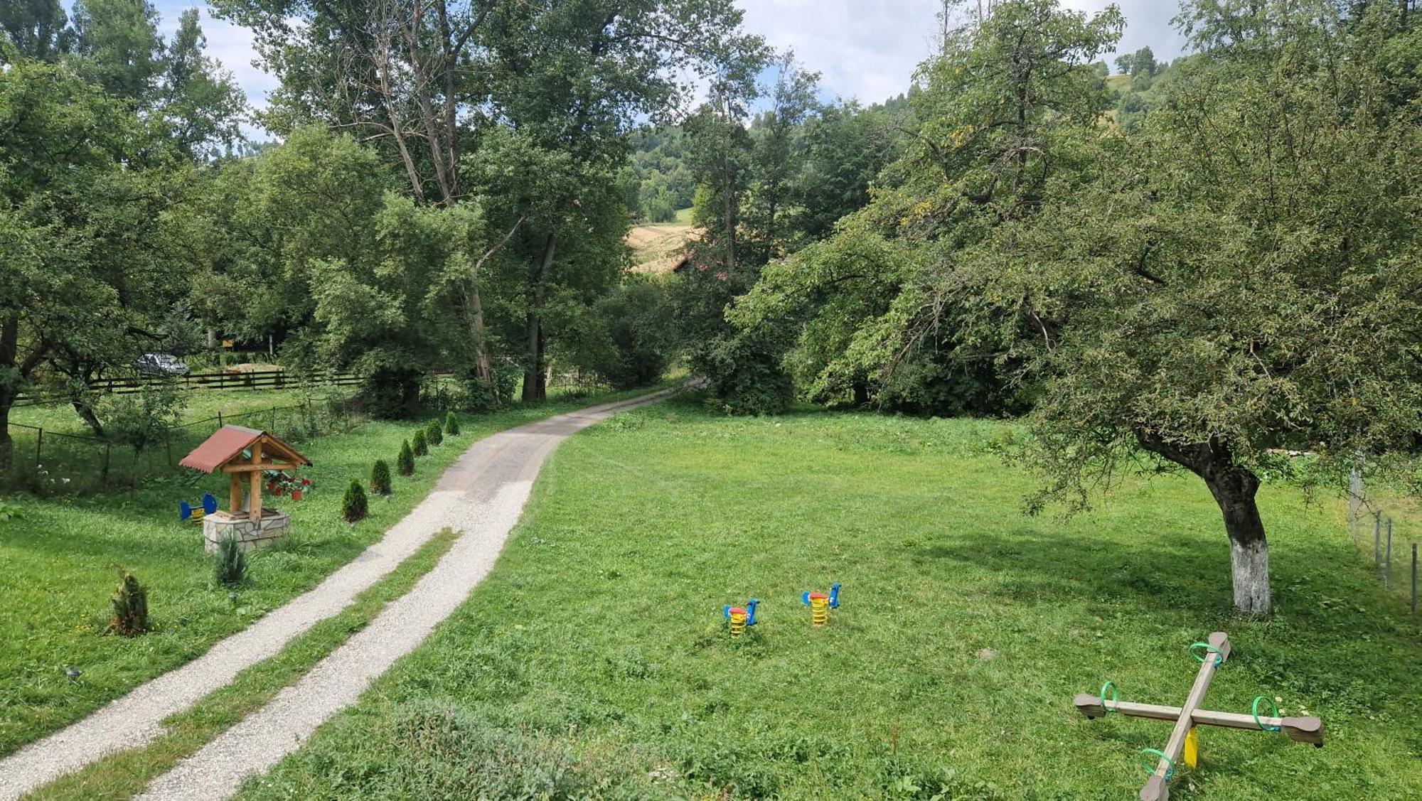 Casa Dorina Villa Bran  Buitenkant foto