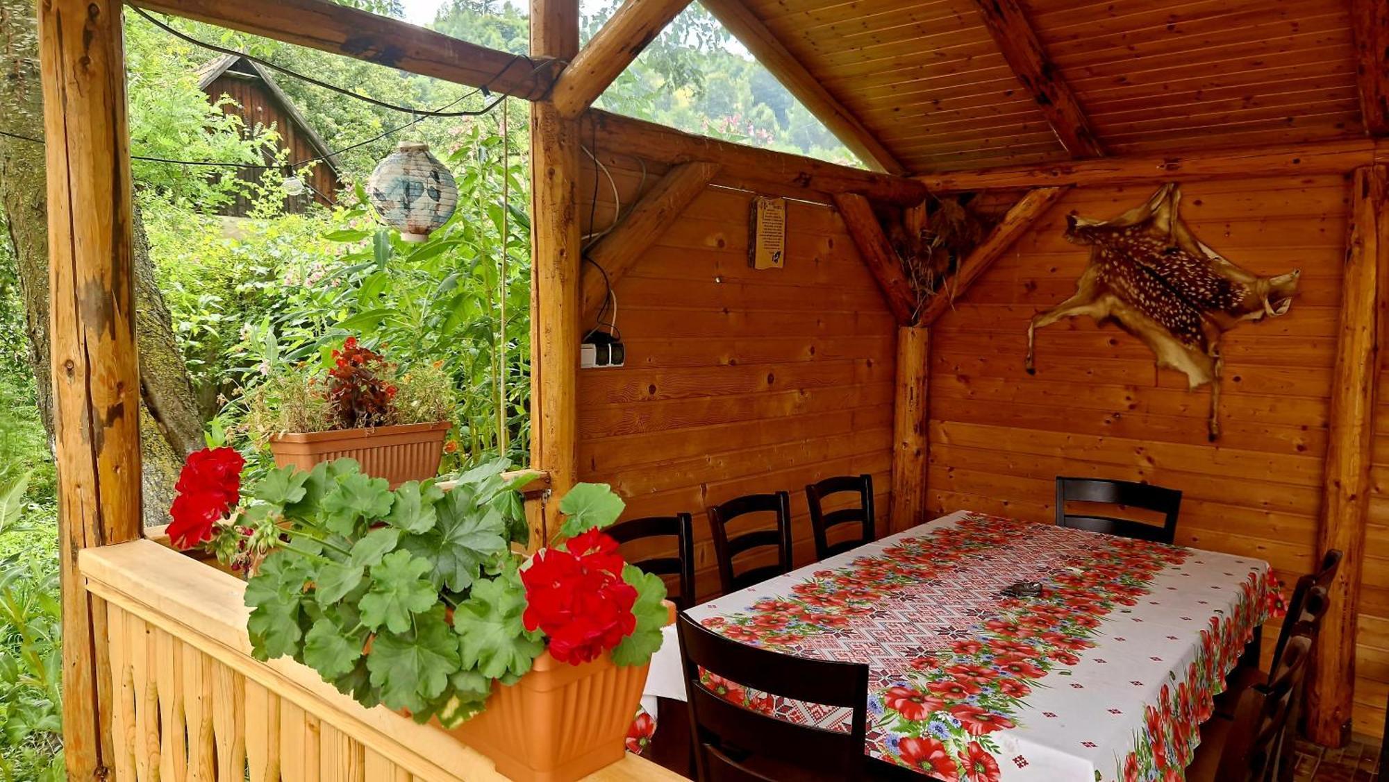 Casa Dorina Villa Bran  Buitenkant foto