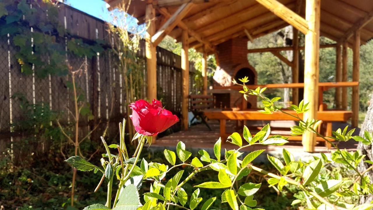 Casa Dorina Villa Bran  Buitenkant foto