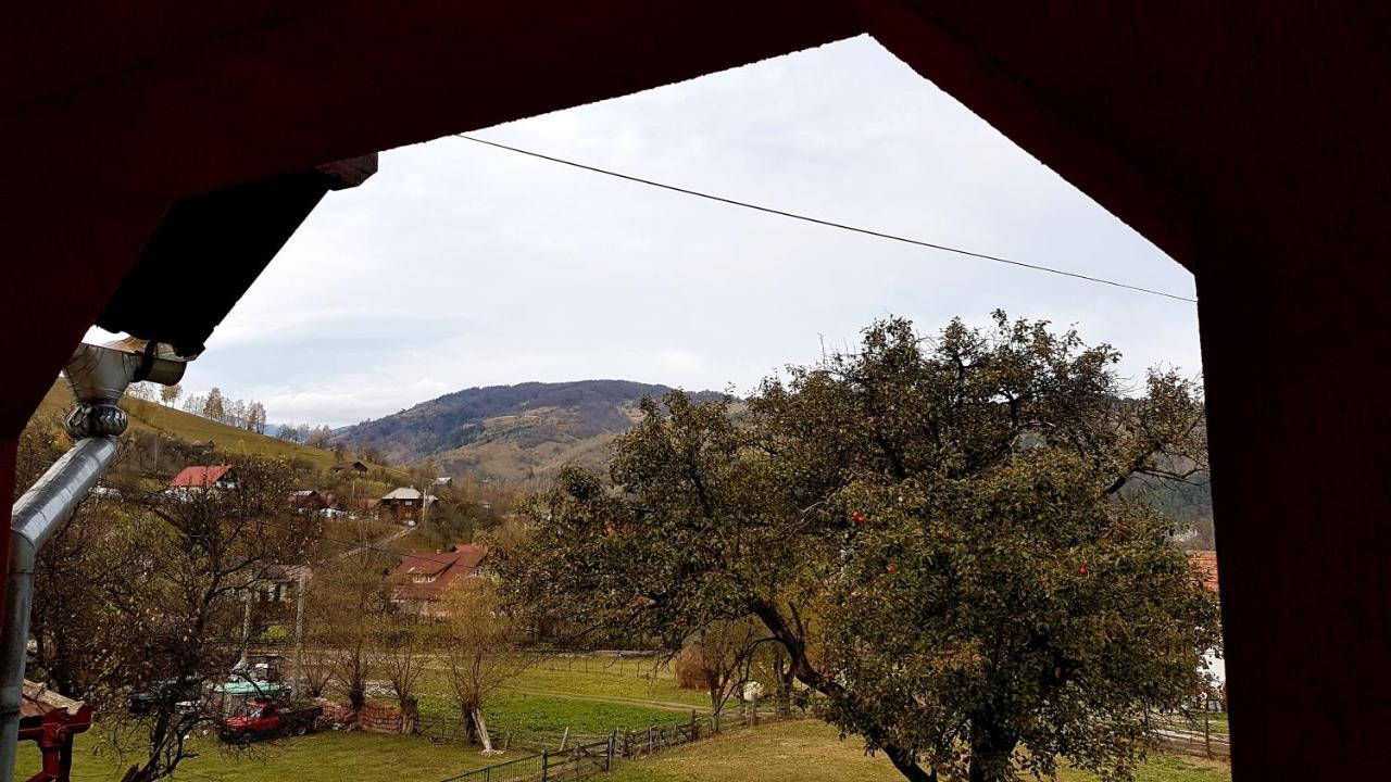 Casa Dorina Villa Bran  Buitenkant foto